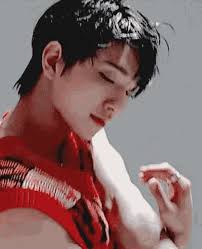 Seventeen Joshua GIF