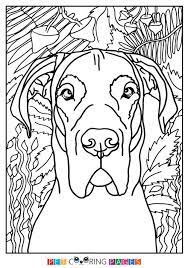 It is a german breed of domesticated dog. Great Dane Coloring Page Great Dane Dane Coloring Pages