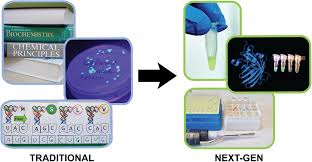 The following diagram illustrates the making of a protein from a gene. Student Exploration Rna And Protein Synthesis Answer Key Activity B Solved Name Lab Instructor Exploration Rna Synthesis Chegg Com Rnaproteinsynthesisse Key Qn85p6yq02n1 Rna And Protein Synthesis Answer Key Vocabulary