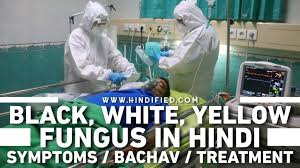 We did not find results for: Black White Aur Yellow Fugus In Hindi Symptoms In Hindi Kaise Hota Hai Bachne Ke Upay Aur Treatment à¤¹ à¤¦ Fied
