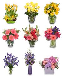 So the season to bloom starts when the plant recovers enough from winter or its seeds that depends on the flower, they all have different times to be in season. Showers Bring May Flowers But If Not Give Your Florist A Call