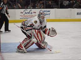 Ja matthews, s winkler, p wilson, md tomkins, jm dortch, rw mourne erratum to:tomkins et al.(2016) schmidt hammer exposure dating (shed): Blackhawks Sign Goaltender Matt Tomkins To Two Year Deal