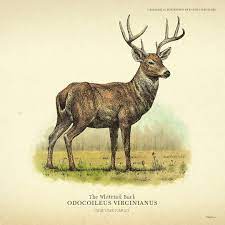 The Diverse Habitats And Climates Of Red Dead Redemption 2 Are Home To Around 200 Species Of Animals Birds And Especies De Animais Red Dead Redemption Animais