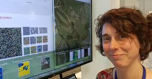 Isabel Sargent @OrdnanceSurvey talks #machinelearning at #DataMash