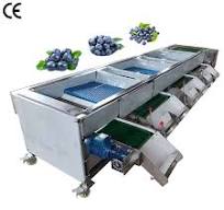 Automatic Henan Reliable Tomato Apple Watermelon Blueberry Sorting Grading Machine Motor Food Grade Stainless Steel 1-3