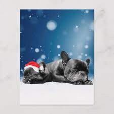Christmas French Bulldog Puppies Snow Santa Hat Holiday Postcard Zazzle Com Dog Xmas Cards Bulldog Puppies French Bulldog Puppies