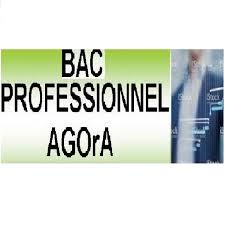 Referentiel Bac Pro Agora Portail Economie Gestion En Lycee Professionnel
