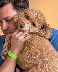 a fall ass day!!!! #fall#autumn#pumpkins#haim