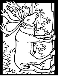 Use the filter on top. Pin On Animal Colouring Pages