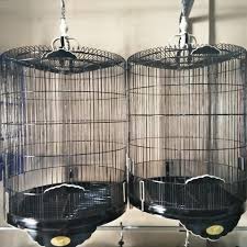 Forum jual beli sangkar burung baru dan bekas tulungagung has 39,508 members. Terima Tukar Tambah Sangkar Jual Beli Sangkar Burung Facebook