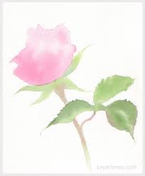Free & paid — 49 image sources. Tutorial How To Paint A Rose In Watercolor Doodlewash