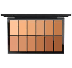 pro palette full coverage foundation x 12 mac cosmetics