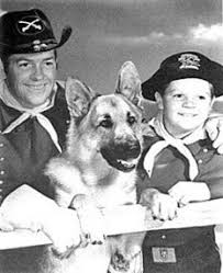 Rin Tin Tin IV | The New Yorker