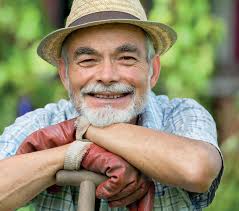 Bexhill News, September 2024, Issue 27 by Regional Media Group