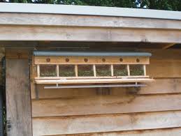 Mus Nestkastbouw Steffens Nestkastje Nestkasten Vogelhuisje