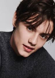 Fan Casting Louis Partridge as Victor Blackburn in School of Fairy Tales  High