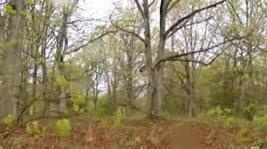 Victim identified from accidental death at Stockton Lake