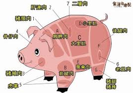 圖解 肩胛肉 小里肌 常見豬肉部位一次認識 食譜自由配 自由電子報 pork picnic pork lion pork ham