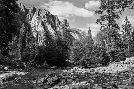 Image result for Delta 100