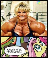 London bodybuilder candice armstrong appears on jodie marsh on. Muscular Woman Nature Is So Fascinating Know Your Meme