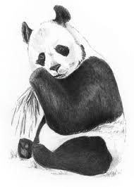 Wie zeichnet man einen niedlichen panda#. Sketching Skizzieren Malen Mit Bleistift Panda Pandabar Bar Mini Ebay