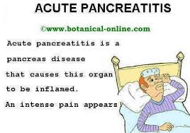 Plant Based Diet For Pancreatitis Botanical Online