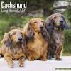 From the 6th april 2016 onwards it will be mandatory that all dogs be microchipped before they are 8 weeks old. 1