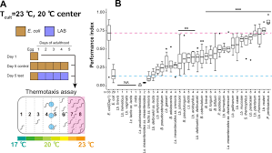 Bacterial diet affects the age-dependent decline of associative learning in  Caenorhabditis elegans | eLife