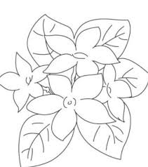 Simple dan sederhana » sketsa bunga anggrek hitam putih. 100 Sketsa Gambar Bunga Cantik Cara Menggambar