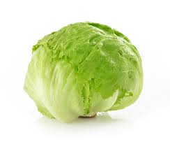 Does Anyone Here Successfully Grow Iceberg Crisphead Lettuce Using Hydroponics Method I Want To Grow Iceberg Lettuce But Most Videos On Youtube Only Show How To Grow Germaine Lettuce Would Appreciate
