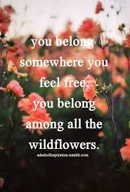 Red Dress Quotes Tumblr Hippie With Images Hippie Quotes Spirit Quotes Free Spirit Quotes