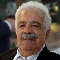 Dominic Palazzolo Obituary