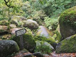 Bretagne Feen Zwerge Und Sagen Im Wald Von Huelgoat Bretagne Camping Frankreich Wald