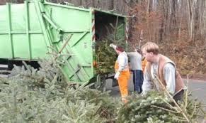 Вставьте недостающую часть сказуемого в passiv: Hier Werden Hamelns Tannenbaume Abgeholt