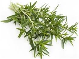 Sarriette Quels Sont Les Bienfaits De La Sariette Tout Pratique Herbe Plantes Aromatiques Et Medicinales Herbes De Provence