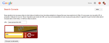 René 15 juin 2014 à 2 je trouve un problème pour accéder mon compte gmail via google qui reste non actif jusqu'à je ne pas l'accès a mon compte gmail. Mon Nouveau Site N Apparait Pas Dans Google Que Faire Amaranthe