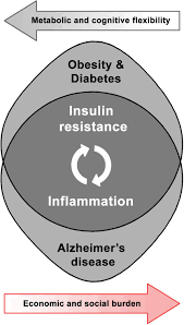 Barbie has many family members and associates who include elizabeth balensiefen, tommy balensiefen, ann balensiefen, alice balensiefen and maritza benavides. Frontiers Inflammation And Insulin Resistance As Risk Factors And Potential Therapeutic Targets For Alzheimer S Disease Neuroscience
