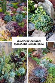 A few cactus arrangements for outdoor containers include: 25 Catchy Outdoor Succulent Garden Ideas Digsdigs