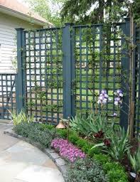 Which type of garden fence you should pick and why? Trellis Fence