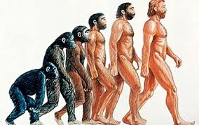 Inca O Dovada A Evolutiei Oamenilor Din Maimute Mutatia Care I A Ajutat Sa Supravietuiasca Stirileprotv Ro