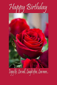 Rose Birthday Wishes For Wife With Love Hd Happy Birthday 5 By Ivete Basso Photography Happy Birthday Rose Happy Valentines Day Images Happy Valentines Day