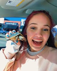 What gender is my sulcata tortoise?