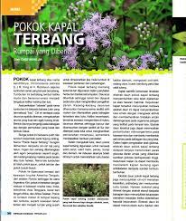 Hai semua jumpa lagi.di video diy ini saya membuat mainan kapal terbang mini berkuasa battery kapal terbang ini tidak boleh. Pdf Herba Pokok Kapal Terbang Rumpai Yang Dibenci