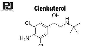Clenbuterol Clen Ultimate Guide For Best Results Before