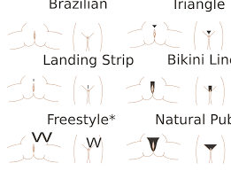 Best pubic hairstyles for males from pubic hair design for men several styles to pick from.source image: Datei Pubic Hair Styles Svg Wikipedia