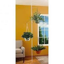 Tension Rod Floor To Ceiling Plant Hanger Hanging Plants Hanging Plants Indoor Indoor Plants
