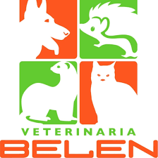 Clinica Veterinaria Dr.Jorge Castro