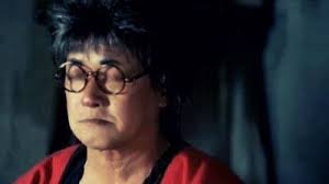 Dragon Ball: The Magic Begins