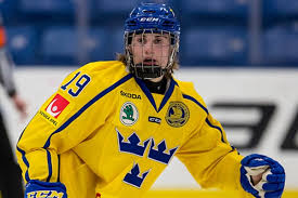 (rögle bk won the match ). Nils Hoglander Scouting Report 2019 Nhl Draft 33