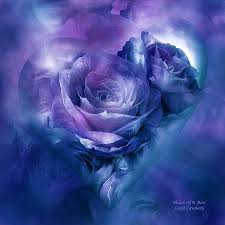 Heart Of A Rose Lavender Blue By Carol Cavalaris Purple Art Purple Roses Purple Love